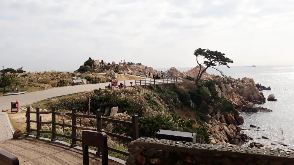 Khám phá những thành phố công nghiệp nổi tiếng ở phía đông nam Hàn Quốc  ảnh 12