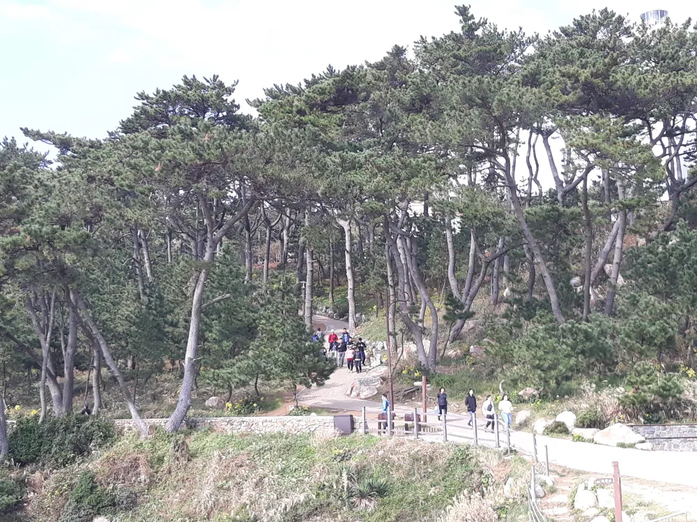 Khám phá những thành phố công nghiệp nổi tiếng ở phía đông nam Hàn Quốc  ảnh 11