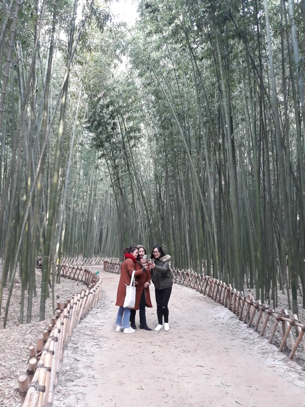 Khám phá những thành phố công nghiệp nổi tiếng ở phía đông nam Hàn Quốc  ảnh 10