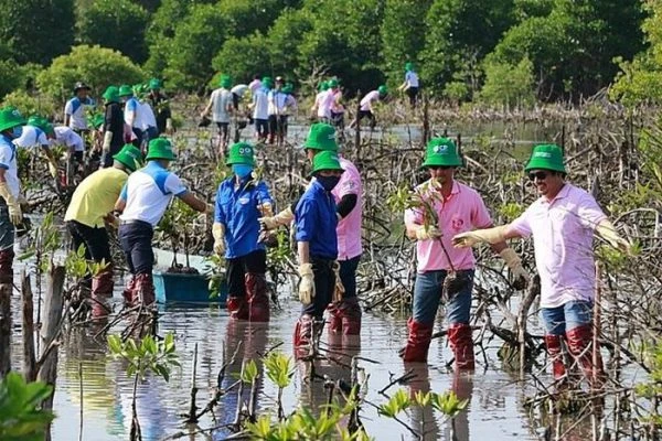 Trồng 1.500 cây đước đôi tại rừng phòng hộ ven biển