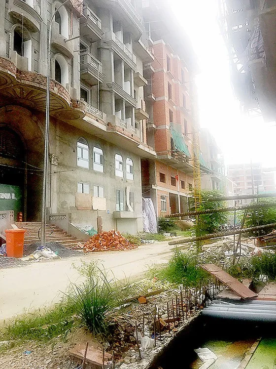 Cưỡng chế phá dỡ 17 công trình vi phạm trật tự xây dựng tại phường Thảo Điền ảnh 1