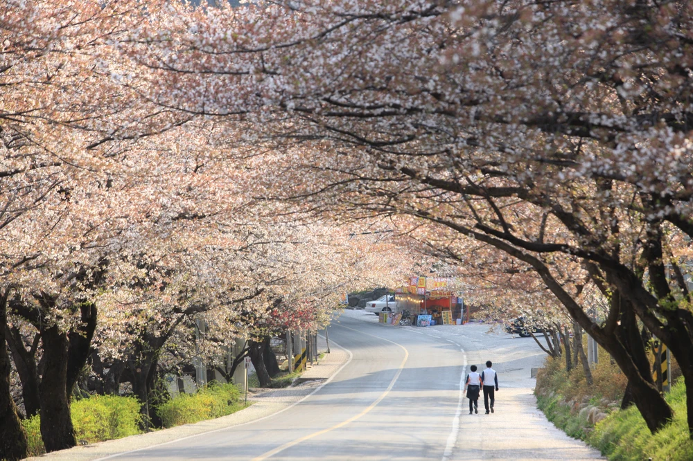 KTO tổ chức cuộc thi “Relive Your Korea Trip” với nhiều giải thưởng hấp dẫn ảnh 3 KTO tổ chức cuộc thi “Relive Your Korea Trip” với nhiều giải thưởng hấp dẫn ảnh 3