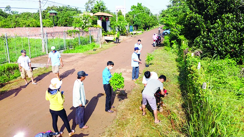 Vedan Việt Nam tài trợ 700 cây xanh và nhiều phần quà giá trị cho “Tuần lễ Đồng Nai xanh” 2020