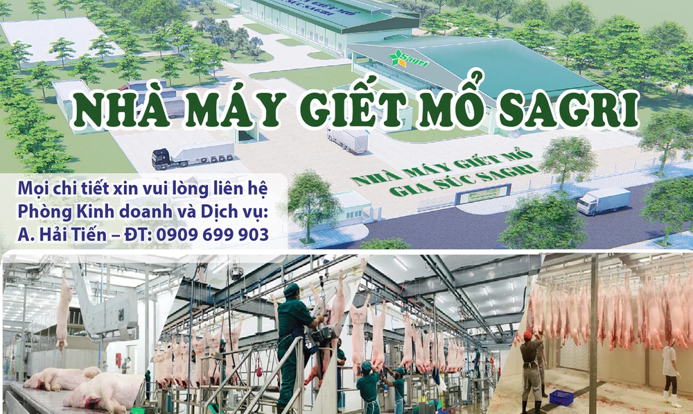 Nhà máy giết mổ gia súc Sagri công nghệ châu Âu tại TPHCM