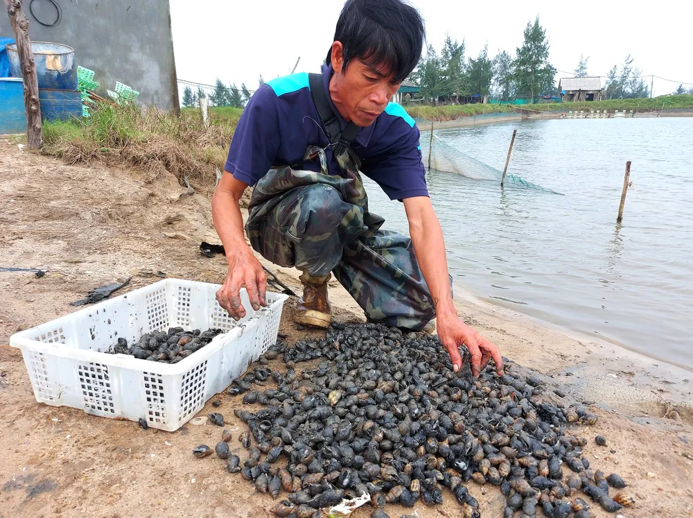 Bão dồn, lũ dập miền Trung  ảnh 8