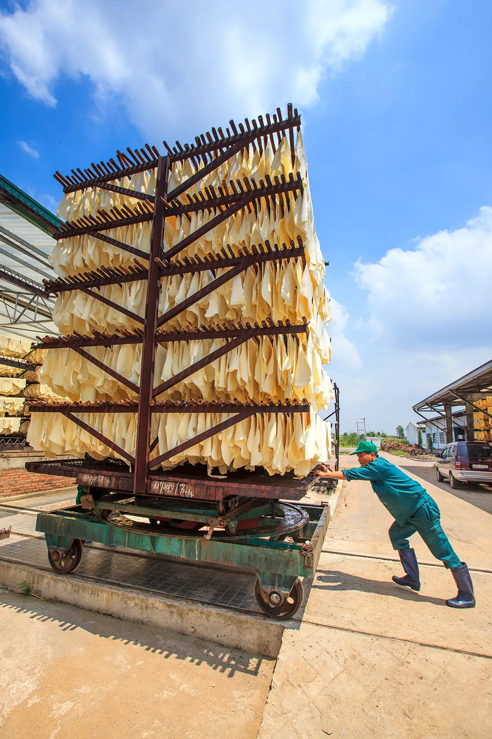 Nâng cao giá trị cây cao su  ​ ảnh 5