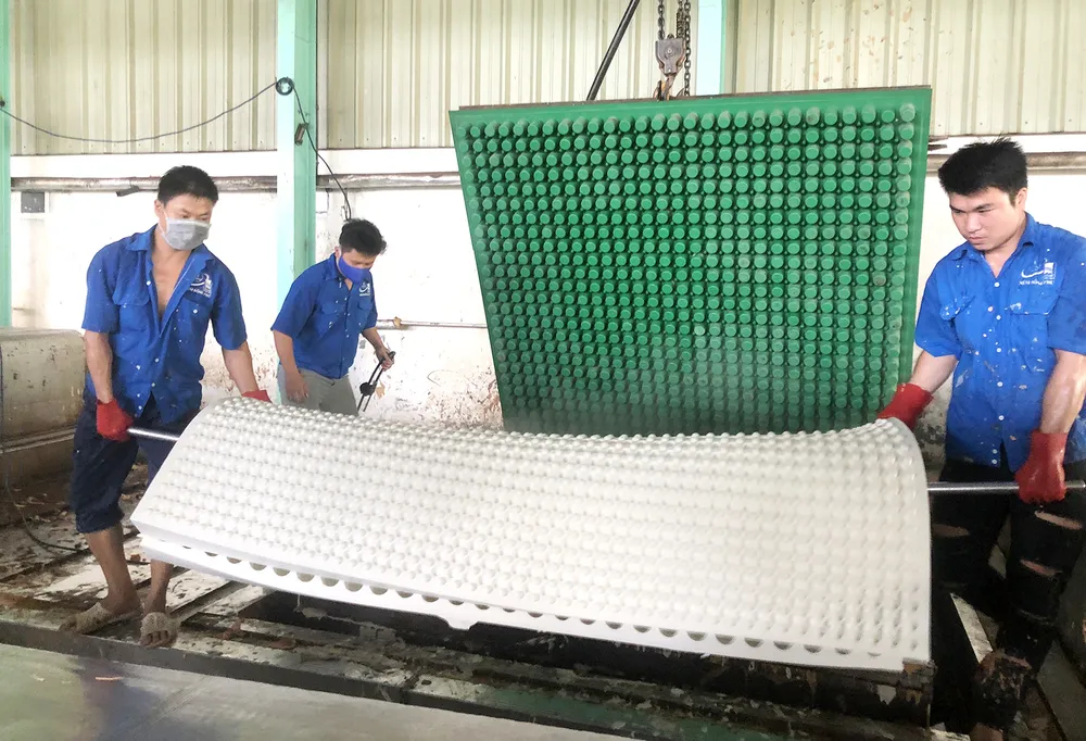 Nâng cao giá trị cây cao su  ​ ảnh 6