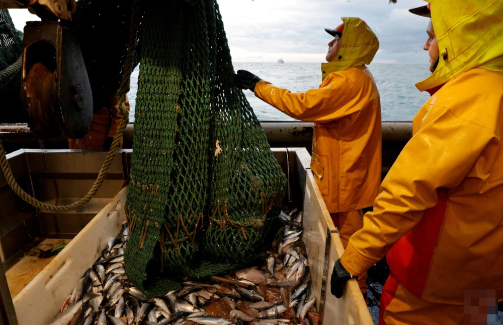 Ảnh minh họa: REUTERS