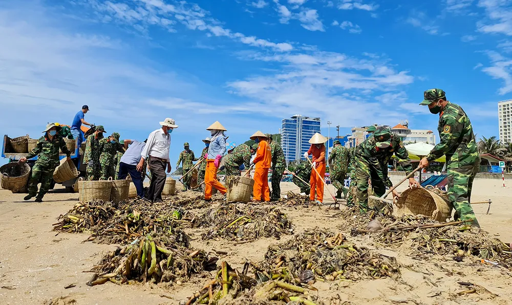 Thu gom rác dạt vào bãi biển TP Vũng Tàu. Ảnh: Báo BR-VT