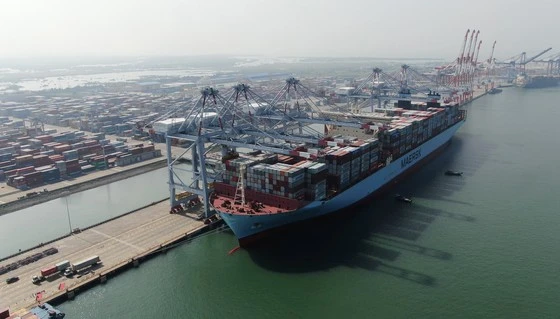  Tàu Margrethe Maersk có sức chở lên đến 20.000 TEU, dài 399.23m, rộng 59m, cập Cảng Quốc tế Cái Mép, tại Phú Mỹ, tỉnh Bà Rịa - Vũng Tàu, tháng 10-20202. Ảnh: QUANG KHOA