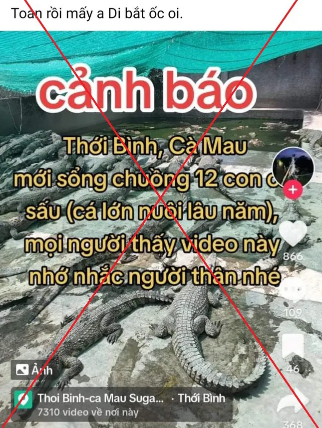 Tài khoản Facebook T.L. thông tin thất thiệt về 12 con cá sấu xổng chuồng