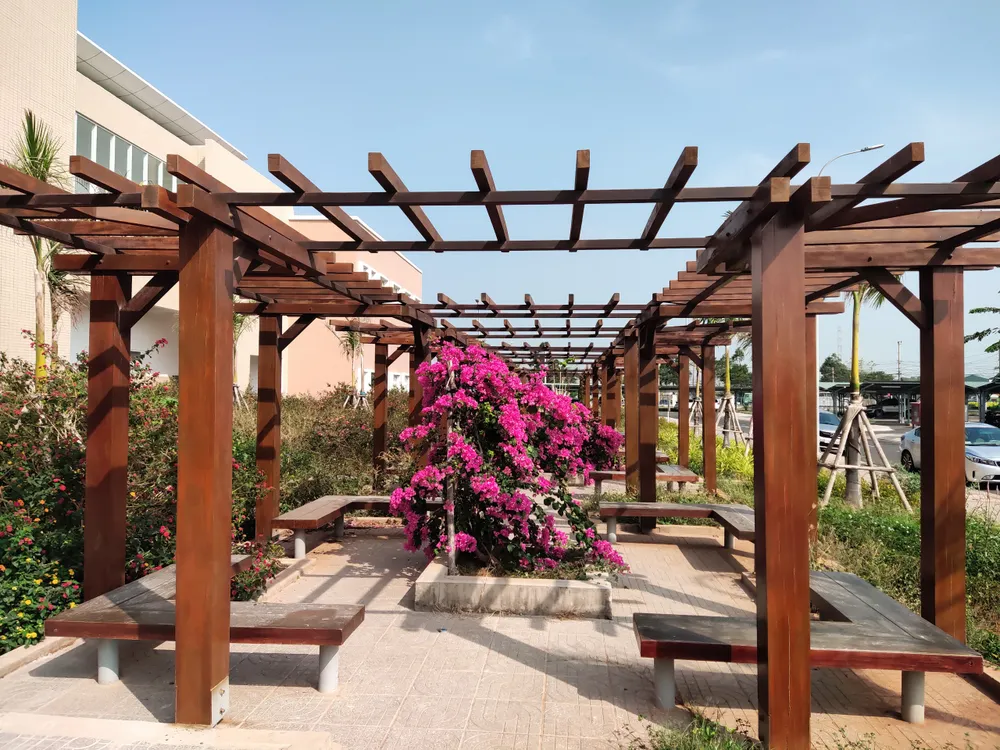 Bệnh viện Vũng Tàu 350 giường chính thức hoạt động ở cơ sở mới ảnh 3