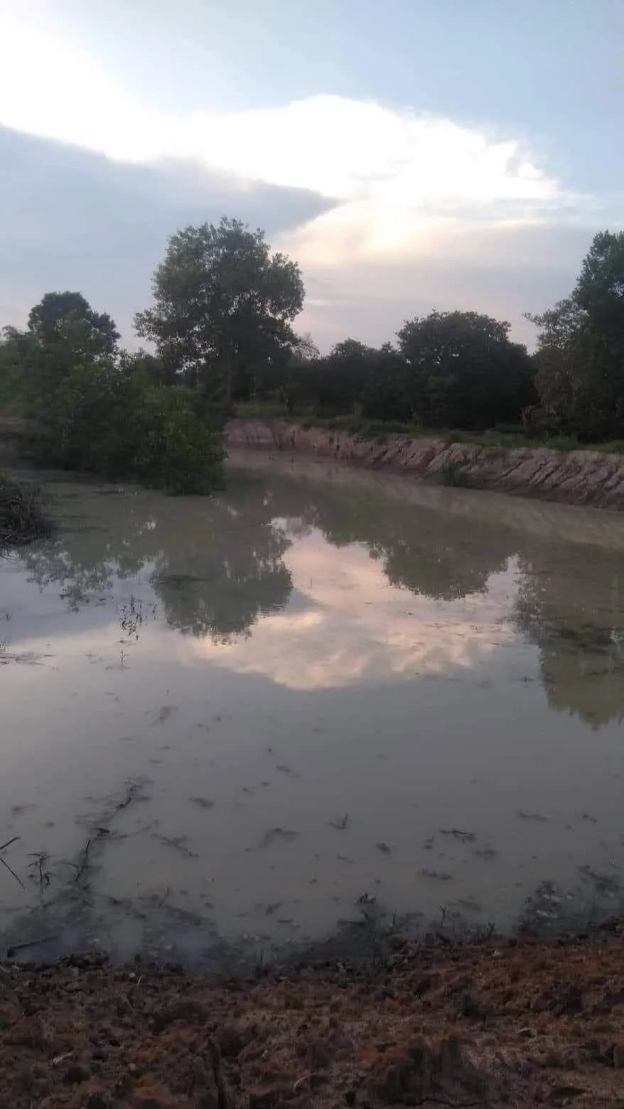 Bà Rịa – Vũng Tàu: Rủ nhau đi tắm hồ, 2 học sinh đuối nước  ảnh 1