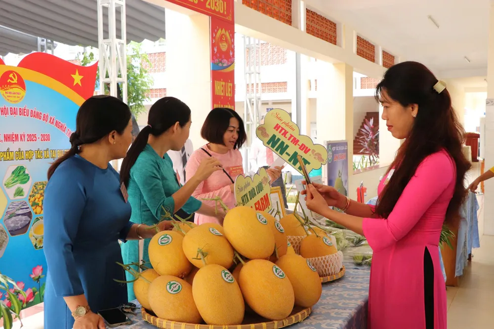 Xã Nghĩa Thành cũng khuyến khích đầu tư nông nghiệp ứng dụng công nghệ cao, nông nghiệp hữu cơ gắn với du lịch sinh thái z6917825366327_743a620ba7d1dccbefe115d39ee544f6.jpg