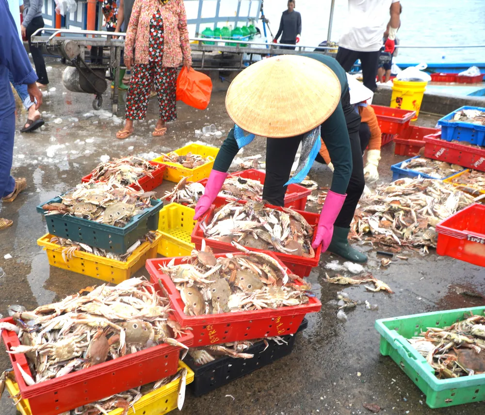 Trĩu nặng lộc từ biển DSC01988.JPG