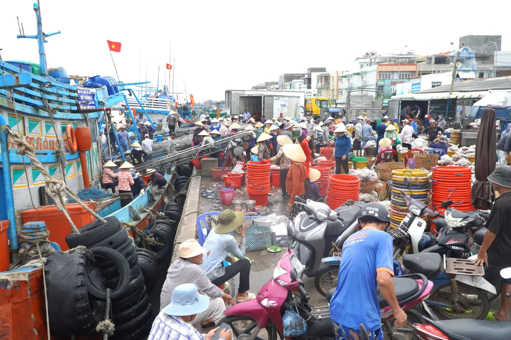 Cảng cá Tân Phước nhộn nhịp khi các tàu cập bờ lên hàng hải sản DSC01996.JPG