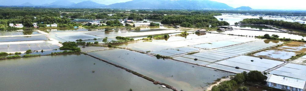 Traditionell salttillverkning i Long Son DJI_0379.JPG