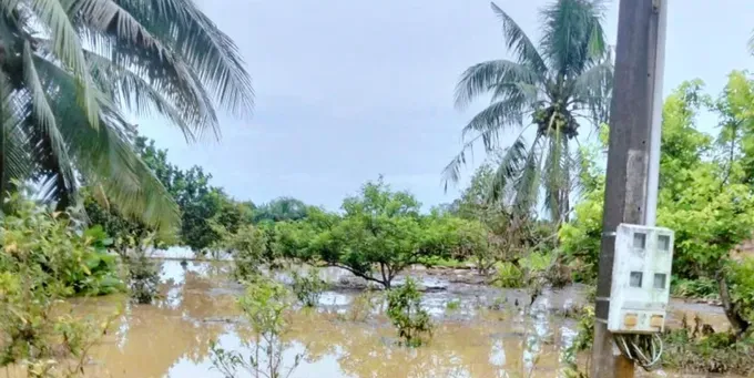 Nguy cơ ngập lụt một số nơi khi nước trên sông La Ngà và các sông, suối vùng hạ lưu hệ thống sông Đồng Nai ở mức khá cao