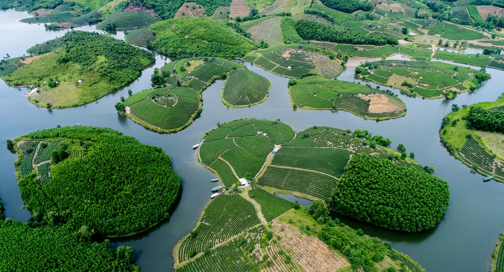 Với mỗi diện tích đảo khoảng từ 1 đến 5ha, những đảo chè Thanh Chương vừa đủ cho một chuyến tham quan và ghi lại khoảnh khắc tuyệt đẹp trong những ngày nghỉ cuối tuần