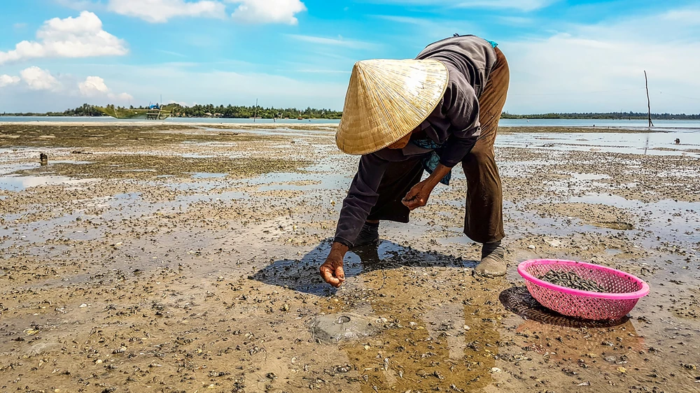 “Hòn vọng phu” nơi Bến Lở ảnh 1 “Hòn vọng phu” nơi Bến Lở ảnh 1