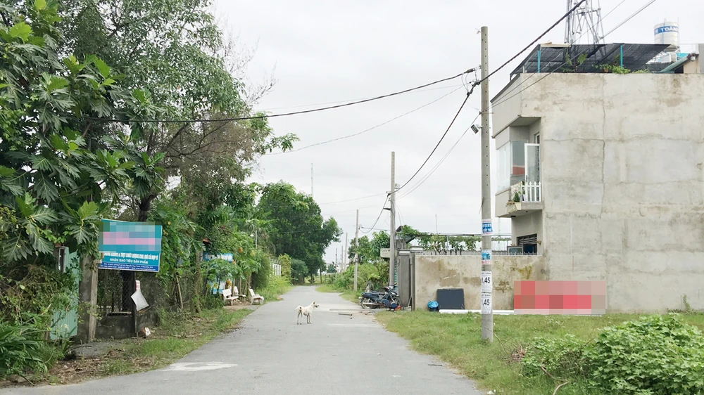 Cùng ở khu dân cư rạch Bà Cua, nhưng có người được xây dựng nhà, có người phải để đất trống, ở nhà thuê