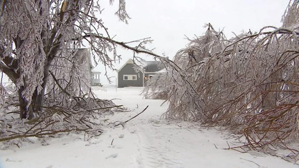 Tuyết rơi dày ở Quebec. Ảnh: Cbc.ca