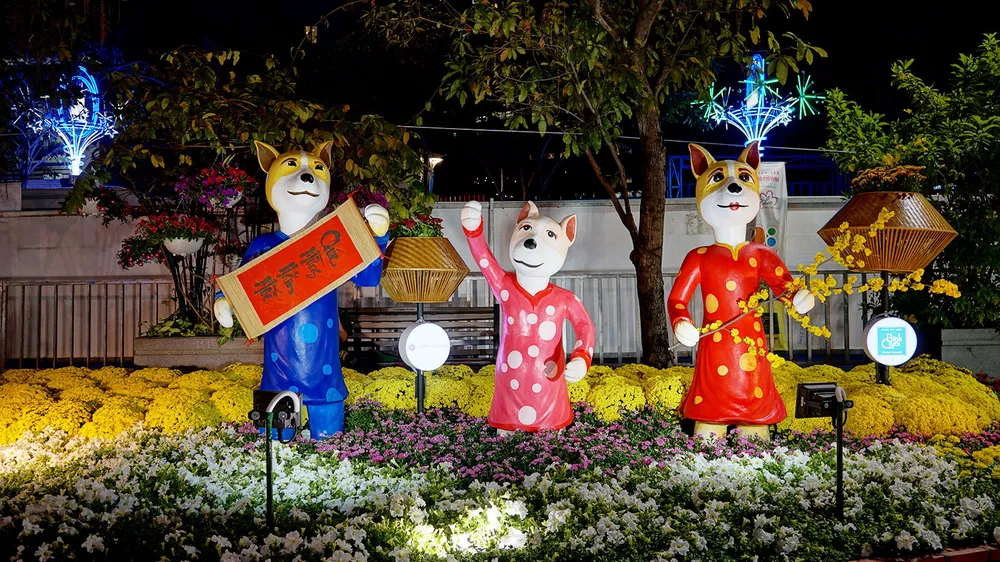 Cận cảnh đường hoa Nguyễn Huệ lung linh trước ngày khai mạc ảnh 2 Cận cảnh đường hoa Nguyễn Huệ lung linh trước ngày khai mạc ảnh 2