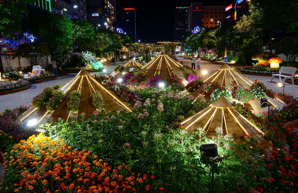 Cận cảnh đường hoa Nguyễn Huệ lung linh trước ngày khai mạc ảnh 8 Cận cảnh đường hoa Nguyễn Huệ lung linh trước ngày khai mạc ảnh 8