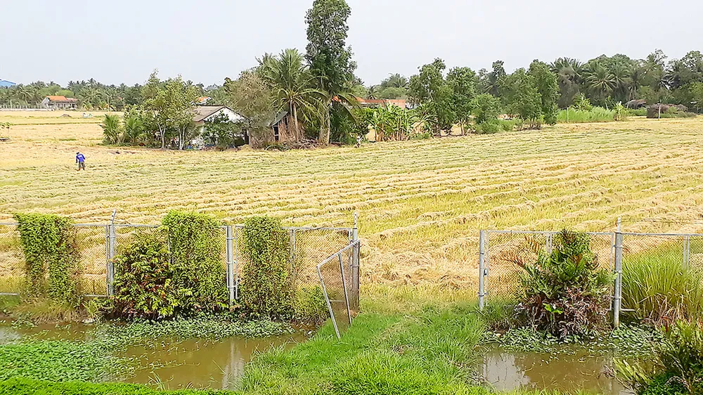 Hàng rào bảo vệ đường cao tốc TPHCM - Trung Lương, đoạn đi qua tỉnh Tiền Giang, bị phá để làm lối đi vào nhà, làm ruộng