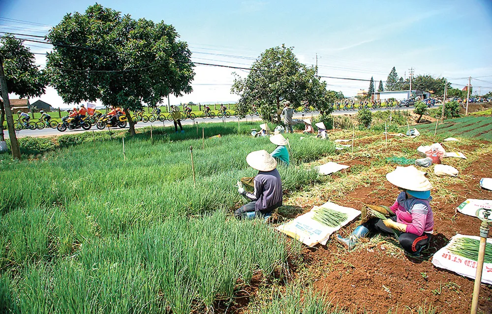 Nẻo đường quê hương ảnh 6