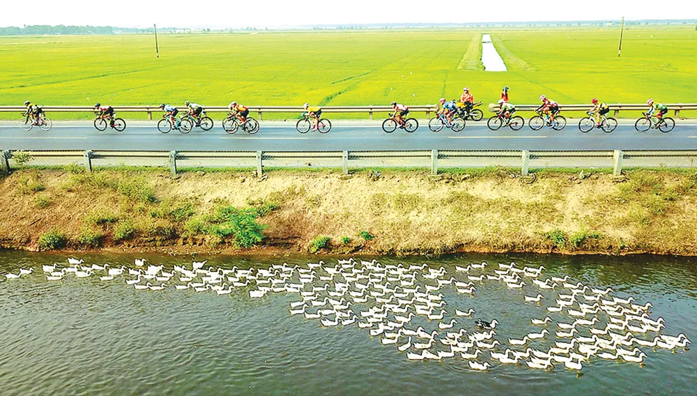 Nẻo đường quê hương ảnh 2