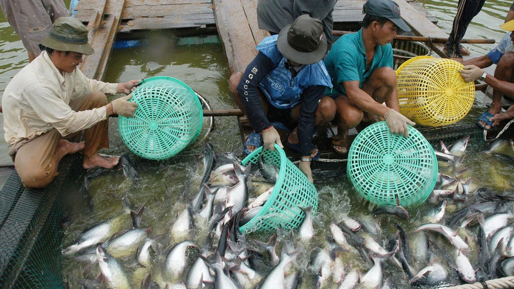 Cửa vào thị trường Mỹ ngày càng hẹp ảnh 1 Cửa vào thị trường Mỹ ngày càng hẹp ảnh 1
