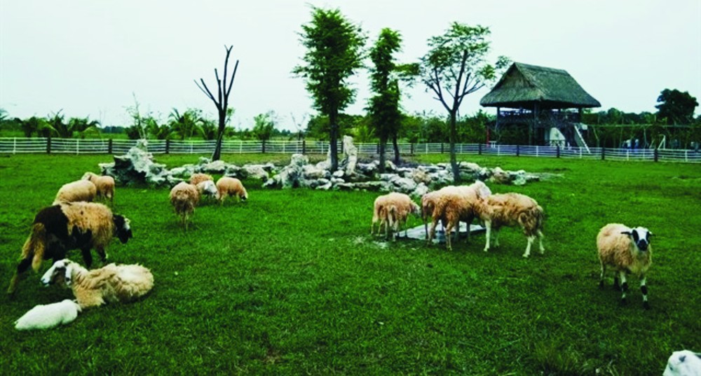 綠色田園生態旅遊 —— Green Noen ảnh 1