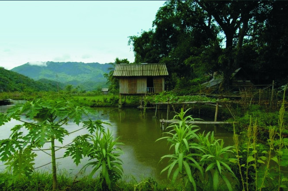 和平省梅州 —— 原始自然美 ảnh 4