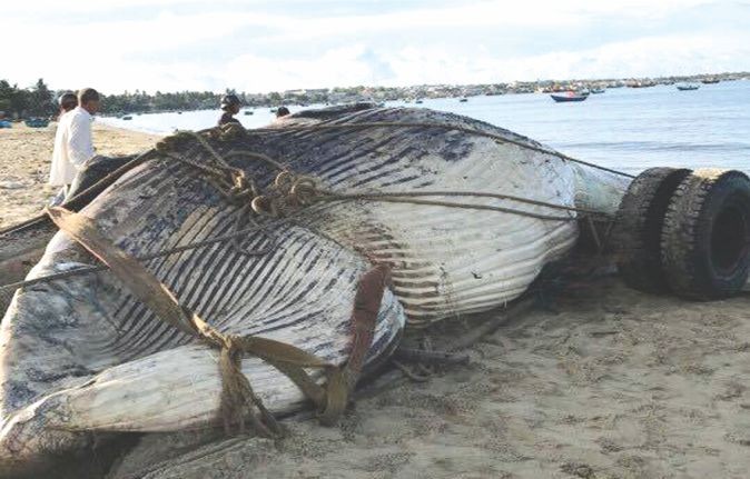 （資料圖來源：互聯網）