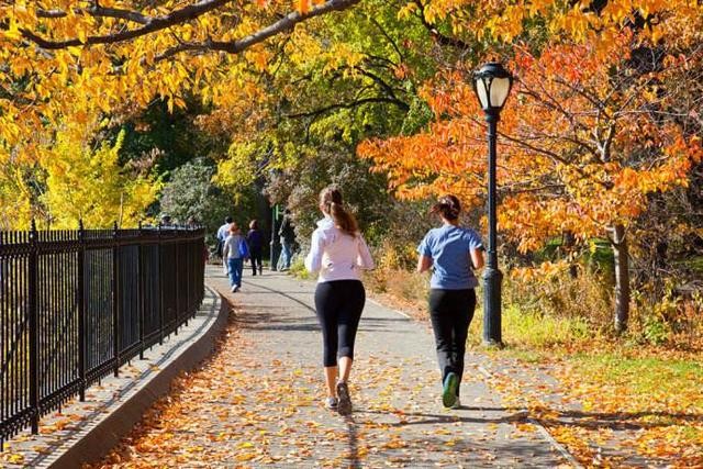 示意圖。（圖源：互聯網）