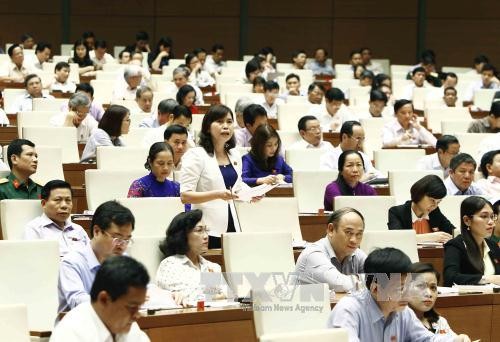 北寧省國會代表陳氏姮在會議上發表意見。（圖源：越通社）