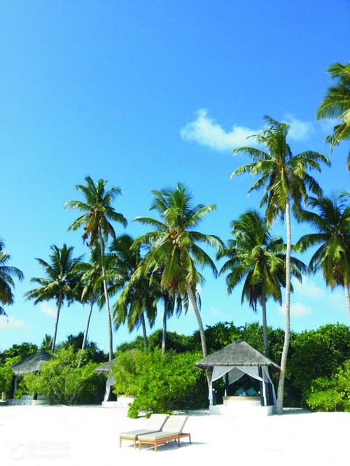 人間天堂 —— 馬爾代夫 ảnh 2