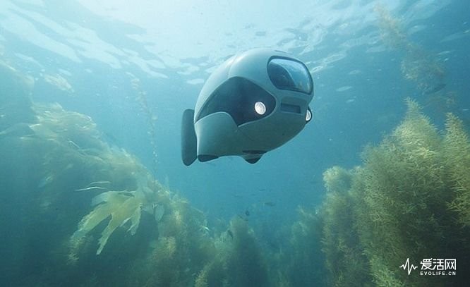 （資料圖來源：互聯網）