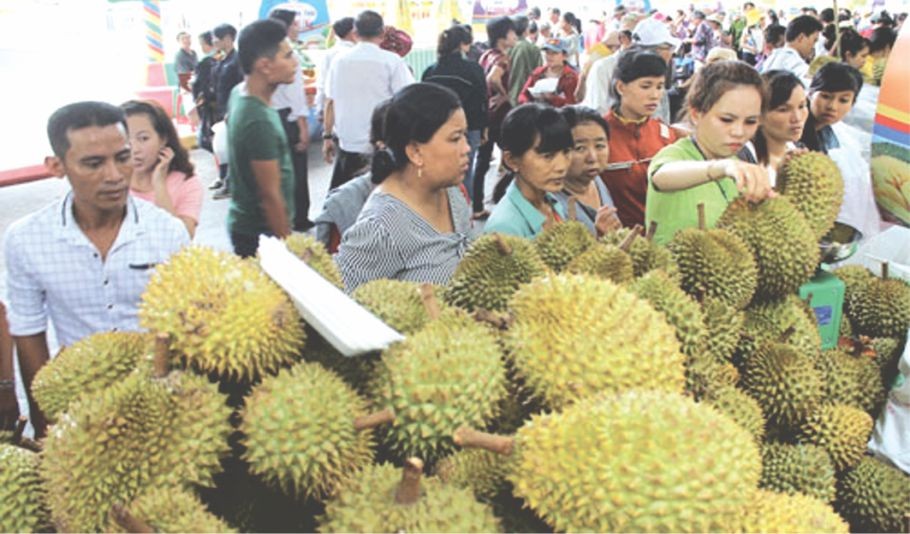 （資料圖來源：仁建）