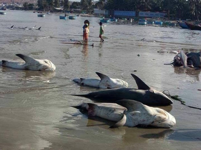 此圖非屬事實，日前曾在社交網上傳播謠言。（圖源：在線法律報）