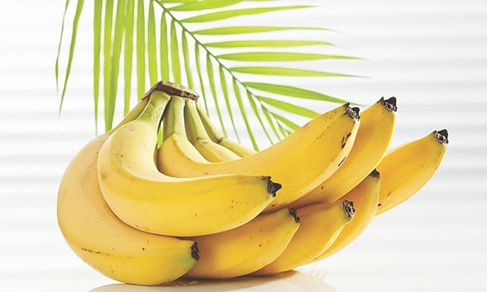 示意圖。（圖片來源：互聯網）