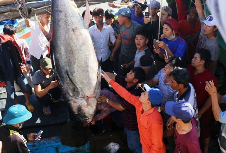 （資料圖來源：TT）