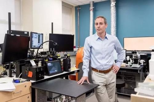 新發現一種禿髮原因有助開發新療法 ảnh 1