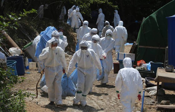 防疫工作人員正在將在釜山機張郡的一家農場內被宰殺的雞等運至掩埋地點。(圖片來源: Song Bong Keun)