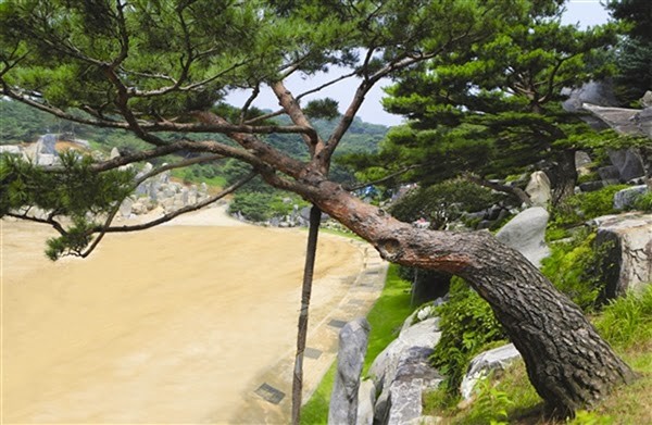 示意圖。（圖源：互聯網）