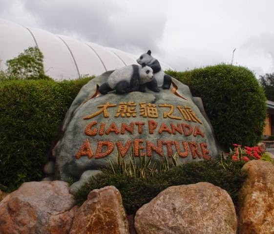 東方之珠 ── 香港 ảnh 3