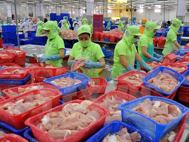 圖為魚片出口加工工段。（示意圖源：互聯網）