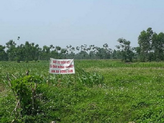 圖為河內市美德縣同心鄉的土地一隅，引起社會關注的土地糾紛案。（圖源：互聯網）