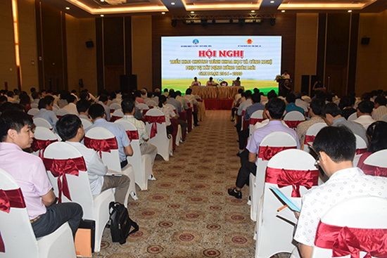 （資料圖源：乂安省新聞網）